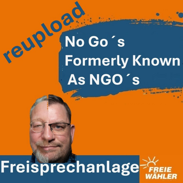 reupload No Go’s – Formerly Known As NGO’s Zwischen Aktivismus, Einfluss und Eskalation